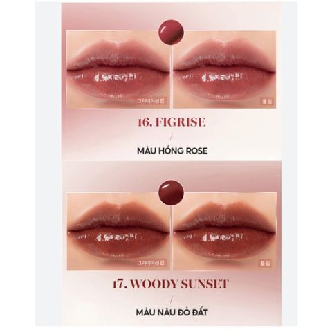 Son Tint Nước Romand Glasting Water Tint 17 Woody Sunset - Nâu Đỏ Đất, Lì Lâu Trôi, Dưỡng Ẩm Tự Nhiên Cho Môi Căng Mọng