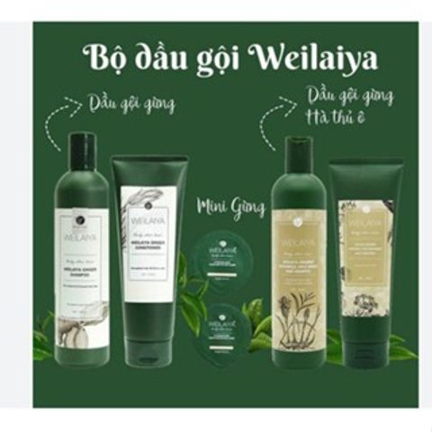 Cặp Dầu Gội Xả Hà Thủ Ô Weilaiya Gừng Kích Mọc Tóc - Giúp Tóc Khỏe, Đen Mượt, Ngăn Rụng Tóc - Suitable for Mẹ Bầu và Mẹ Bỉm Sữa
