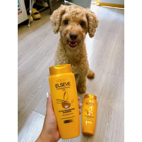 [Date 9/24] Dầu Gội Chiết Xuất Tinh Dầu Hoa tự nhiên L'Oréal Paris Elseve Extraordinary Oil 280ml