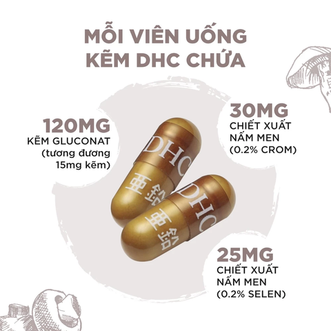 Viên Uống Bổ Sung Kẽm DHC ZinC 20 & 60 Ngày - Thực Phẩm Bảo Vệ Sức Khỏe Hỗ Trợ Duy Trì Mái Tóc Khỏe Mạnh, Da Mịn Màng