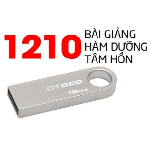 USB Kingston 1210 Bài Pháp Thoại Hàm Dưỡng Tâm Hồn - Thư Viện Di Động về Phật Giáo và Hạnh Phúc Cuộc Sống