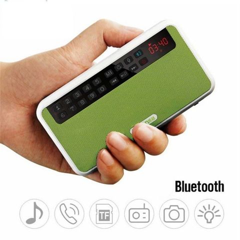 Loa Đài Pháp Thoại Rolton E500 - Loa Bluetooth Đa Chức Năng với FM, Thẻ Nhớ và Ghi Âm, Phù Hợp Cho Kích Hoạt Chụp Ảnh Tự Sướng