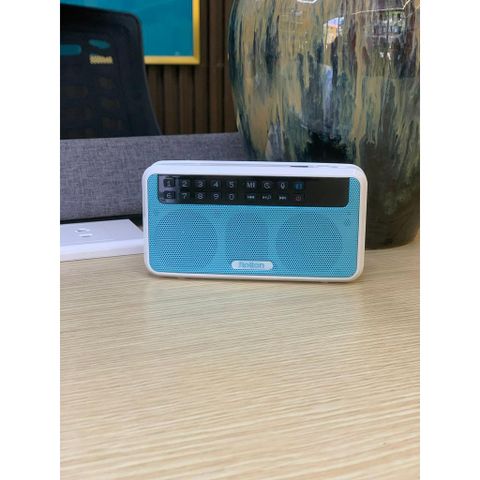 Loa Đài Pháp Thoại Rolton E500 - Loa Bluetooth Đa Chức Năng với FM, Thẻ Nhớ và Ghi Âm, Phù Hợp Cho Kích Hoạt Chụp Ảnh Tự Sướng