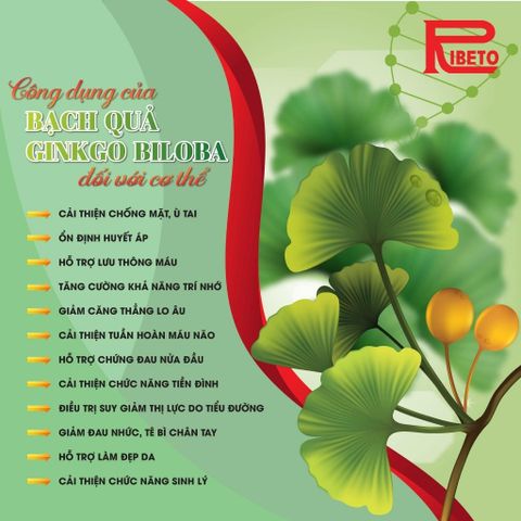 Ichoha Ekisu Plus 90 Viên - Bổ Não, Tăng Cường Tuần Hoàn Não, Cải Thiện Trí Nhớ - Sản Phẩm Chiết Xuất Bạch Quả Từ Thụy Sĩ