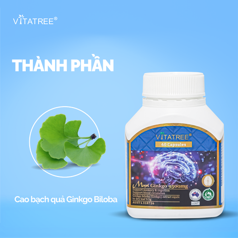 Viên Uống Bổ Não Vitatree Maxi Ginkgo 9500mg - Tăng Cường Trí Nhớ, Tập Trung, Hỗ Trợ Lưu Thông Máu - Sản Phẩm Từ Ginkgo Biloba Chất Lượng Cao
