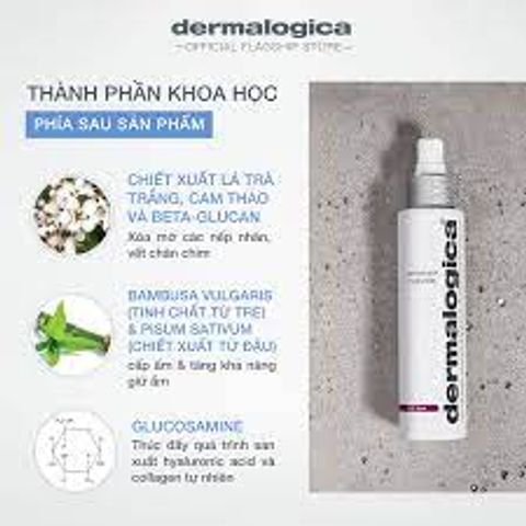 Nước hoa hồng dạng xịt Dermalogica Antioxidant Hydramist 150ml 240744