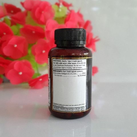 Go Healthy Go Ginkgo 9000 60 viên - Viên Uống Bổ Não của Úc - DiiHangMyUc.