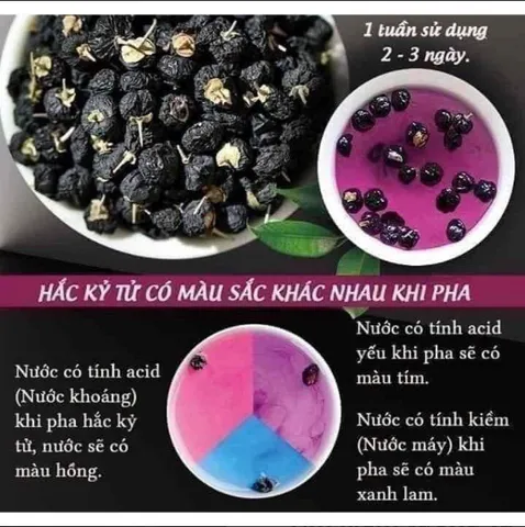 Hắc Kỷ Tử Mỹ Suncore Food - Hoa Quả Sấy Khô Black Goji Berries Hộp 454G Dinh Dưỡng, Ngon Miệng, Siêu Thực Phẩm Khỏe Mạnh