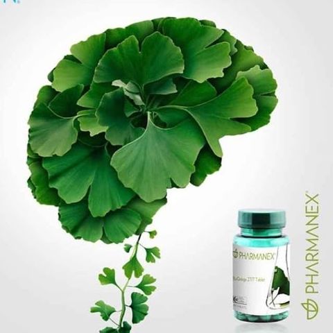 Thực Phẩm Bảo Vệ Sức Khỏe Nuskin BioGinkgo 27/7 - Tăng Cường Trí Nhớ - Hộp 60 Viên Chiết Xuất Bạch Quả