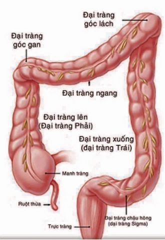 Lifiber Unicity - Thực phẩm chức năng hỗ trợ tiêu hóa, tăng cường sức khỏe, giảm cân hiệu quả, 100% tự nhiên, dễ sử dụng.