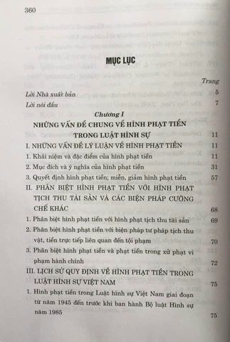Hình Phạt Tiền Trong Luật Hình Sự Việt Nam - Phân Tích và Thực Tiễn Áp Dụng Trong 348 Trang Sách Chính Trị Quốc Gia