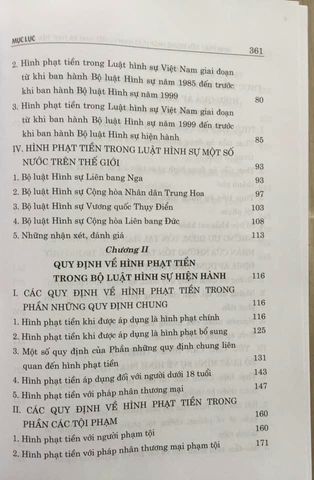 Hình Phạt Tiền Trong Luật Hình Sự Việt Nam - Phân Tích và Thực Tiễn Áp Dụng Trong 348 Trang Sách Chính Trị Quốc Gia