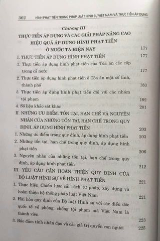 Hình Phạt Tiền Trong Luật Hình Sự Việt Nam - Phân Tích và Thực Tiễn Áp Dụng Trong 348 Trang Sách Chính Trị Quốc Gia