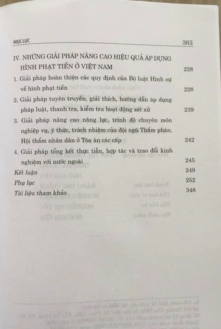 Hình Phạt Tiền Trong Luật Hình Sự Việt Nam - Phân Tích và Thực Tiễn Áp Dụng Trong 348 Trang Sách Chính Trị Quốc Gia