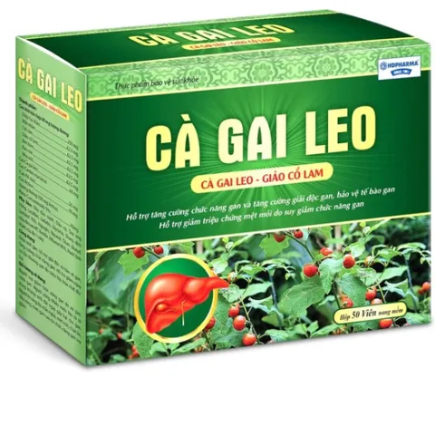 Viên Uống Bổ Gan Cà Gai Leo Gold Tex - Giải Độc, Hạ Men Gan, Tăng Cường Chức Năng Gan - Hộp 50 Viên Bảo Vệ Gan Tốt Nhất