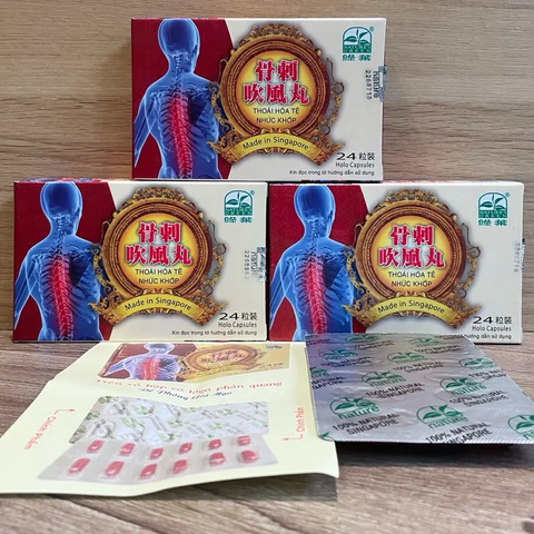 Thực Phẩm Chức Năng Thoái Hóa Tê Nhức Khớp Singapore 24 Viên - Giảm Đau Khớp, Viêm Khớp, Hỗ Trợ Tái Tạo Sụn Khớp