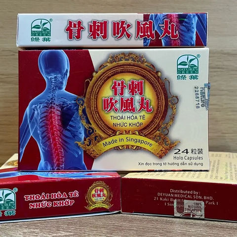Thực Phẩm Chức Năng Thoái Hóa Tê Nhức Khớp Singapore 24 Viên - Giảm Đau Khớp, Viêm Khớp, Hỗ Trợ Tái Tạo Sụn Khớp