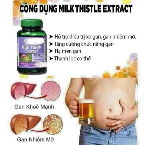 Viên uống Milk Thistle Extract Giải Độc Gan - Hỗ Trợ Chức Năng Gan, Thanh Lọc Cơ Thể, Tăng Cường Sức Khỏe Tổng Thể