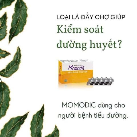 Viên Uống Ổn Định Đường Huyết MOMODIC - Hỗ Trợ Tim Mạch, Phòng Ngừa Biến Chứng - Hộp 30 Viên Việt Nam