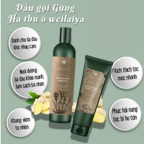 Bộ dầu gội xả gừng Weilaiya 400ml - Giảm rụng, kích mọc tóc cho tóc dầu và khô - Sản phẩm chăm sóc tóc tự nhiên an toàn cho mẹ bầu
