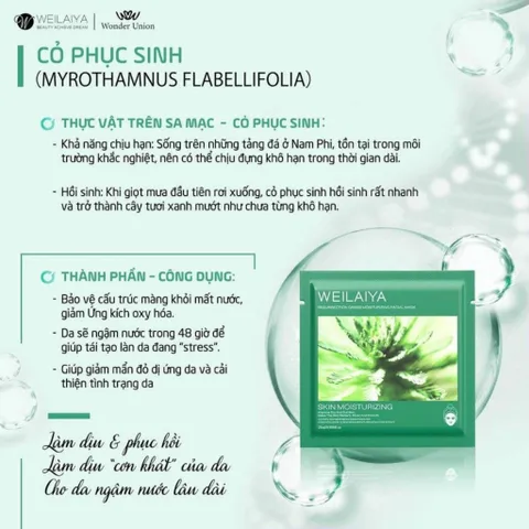 Mặt nạ dưỡng da, dưỡng ẩm khóa nước, tái sinh da cỏ vạn năm Weilaiya hộp 10 miếng [Cận date T7/2025]