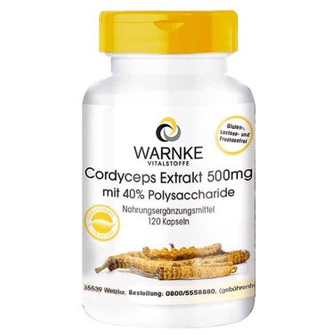 Viên uống Đông Trùng Hạ Thảo Warnke Cordyceps Extrak 500mg - Hỗ trợ sức khỏe, phục hồi thể lực tự nhiên, chính hãng Đức