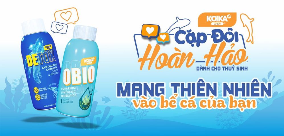 COMBO KOIKA Obio & Detox - Giải pháp hoàn hảo cho bể cá cảnh, khử chlorine, làm sạch nước, cải thiện sức khỏe cá tùy chỉnh