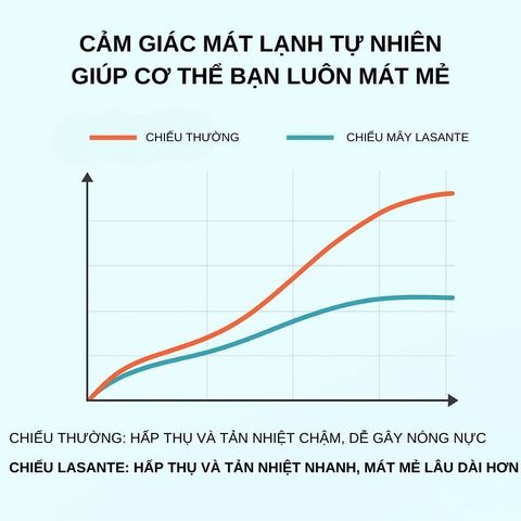 Chiếu Mây Điều Hòa Băng Lạnh Chính Hãng Lasante Chun Bọc Đệm , 4 Lớp Mát, Thông Thoáng Cho Mùa Hè
