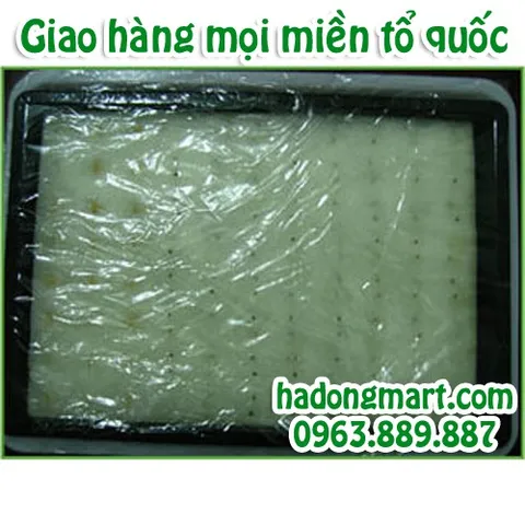 Mút xốp ươm hạt 10 tấm 960 lỗ (25x25x25mm) HaDongMart