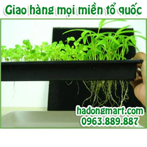 Mút xốp ươm hạt 10 tấm 960 lỗ (25x25x25mm) HaDongMart
