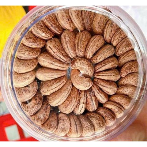 Hạt Điều Nguyên Hạt Vỏ Lụa Rang Muối 500g - Thực Dưỡng Bà Loan, Hương Vị Độc Đáo Chất Lượng Từ Bình Phước