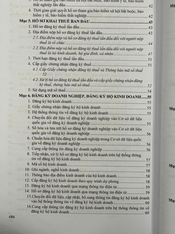 Sách Pháp Luật Trong Doanh Nghiệp - Vấn Đề Pháp Lý Cơ Bản Để Phát Triển Bền Vững Doanh Nghiệp