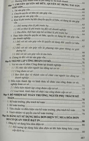 Sách Pháp Luật Trong Doanh Nghiệp - Vấn Đề Pháp Lý Cơ Bản Để Phát Triển Bền Vững Doanh Nghiệp