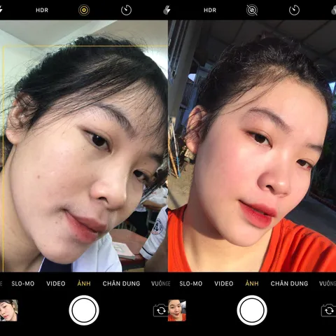Bột sâm đông y Hạnh Sino 100% thiên nhiên tái tạo da - Giúp da khỏe đẹp từ gốc, giảm mụn thâm nám, phục hồi tự nhiên - Dung tích 100ml