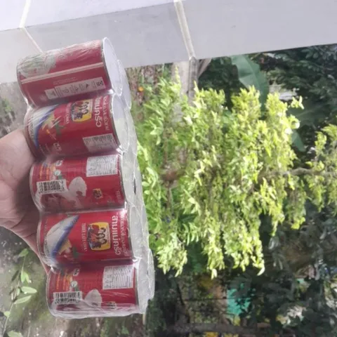 Cá sốt cà 3 cô gái (5 lon cao 155gr)
