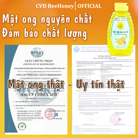 Mật Ong Nguyên Chất CvdBeehoney 100% Từ Hoa Bạc Hà - Tăng Sức Đề Kháng, Giảm Ho, Hỗ Trợ Làm Đẹp Tự Nhiên