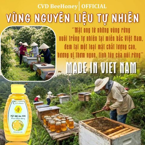 Mật Ong Nguyên Chất CvdBeehoney 100% - Tăng Cường Sức Đề Kháng, Làm Đẹp Da, Giảm Ho, Ngọt Tinh Khiết Từ Hoa Rừng