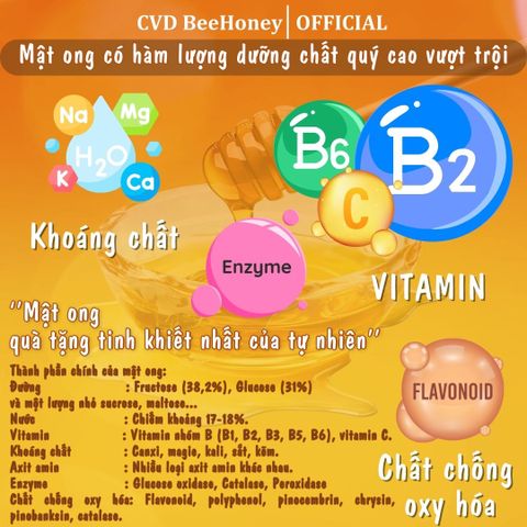 Mật Ong Nguyên Chất CvdBeehoney 100% - Tăng Cường Sức Đề Kháng, Làm Đẹp Da, Giảm Ho, Ngọt Tinh Khiết Từ Hoa Rừng