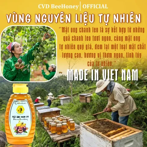 Mật Ong Nguyên Chất Chanh Leo CvdBeehoney 500g - Tăng Đề Kháng, Giúp Đẹp Da, Từ Tự Nhiên, Hàng Việt Nam Chất Lượng Cao