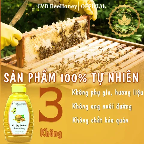 Mật Ong Tinh Nghệ Nguyên Chất CVDBEEHONEY 500g - Tăng Đề Kháng, Phục Hồi Sức Khỏe, Chăm Sóc Da Tự Nhiên, Mật Ong Từ Rừng