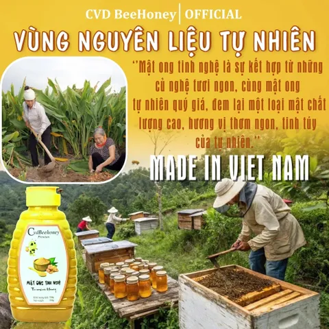 Mật Ong Tinh Nghệ Nguyên Chất CVDBEEHONEY 500g - Tăng Đề Kháng, Phục Hồi Sức Khỏe, Chăm Sóc Da Tự Nhiên, Mật Ong Từ Rừng