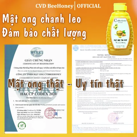 Mật Ong Tinh Nghệ Nguyên Chất CVDBEEHONEY 500g - Tăng Đề Kháng, Phục Hồi Sức Khỏe, Chăm Sóc Da Tự Nhiên, Mật Ong Từ Rừng
