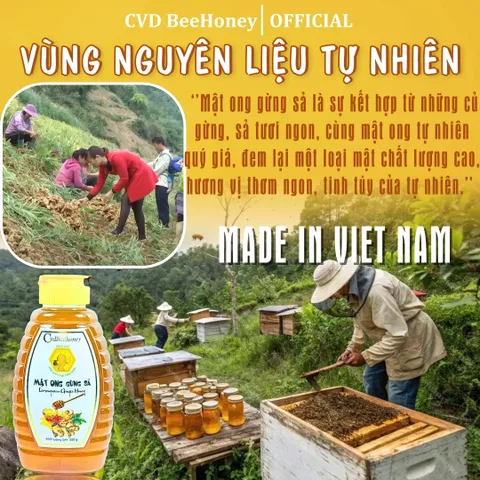 Mật Ong Gừng Sả Nguyên Chất CvdBeehoney 100% Tự Nhiên, Tăng Sức Đề Kháng, Hỗ Trợ Làm Đẹp, 500g