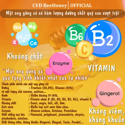 Mật Ong Gừng Sả Nguyên Chất CvdBeehoney 100% Tự Nhiên, Tăng Sức Đề Kháng, Hỗ Trợ Làm Đẹp, 500g