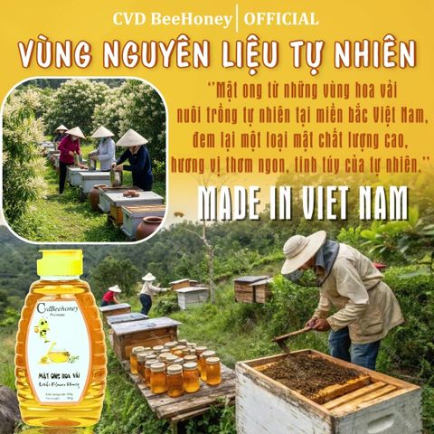 Mật Ong Hoa Vải Nguyên Chất CVD Beehoney 500g - Tăng Đề Kháng, Phục Hồi Sức Khỏe, Làm Đẹp Da, Chống Lão Hóa