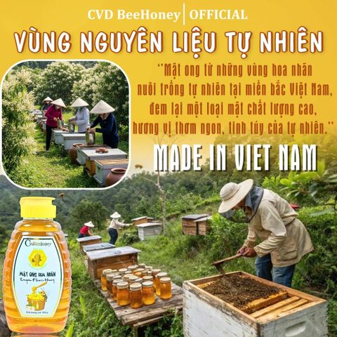 Mật Ong Nguyên Chất CvdBeehoney Từ Hoa Nhãn 100% Tự Nhiên - Tăng Cường Sức Đề Kháng, Giảm Ho, Làm Đẹp Da