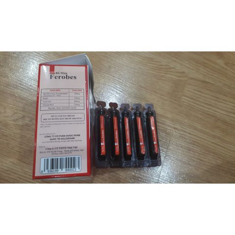Siro Bổ Máu Ferobes - Nhật Việt Pharma - Bổ Sung Sắt và Khoáng Chất Hỗ Trợ Tạo Máu cho Phụ Nữ Mang Thai và Thiếu Máu