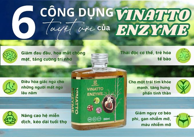 Nước Uống Enzyme Vinatto Hỗ Trợ Tim Mạch - Cải Thiện Tuần Hoàn Máu, Ngăn Ngừa Đột Quỵ, Giảm Cholesterol 500 FU/ml