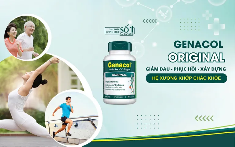 Viên Uống Hỗ Trợ Xương Khớp Genacol - Tăng Tiết Dịch, Tái Tạo Sụn, Giảm Đau Khớp Hiệu Quả Từ Canada