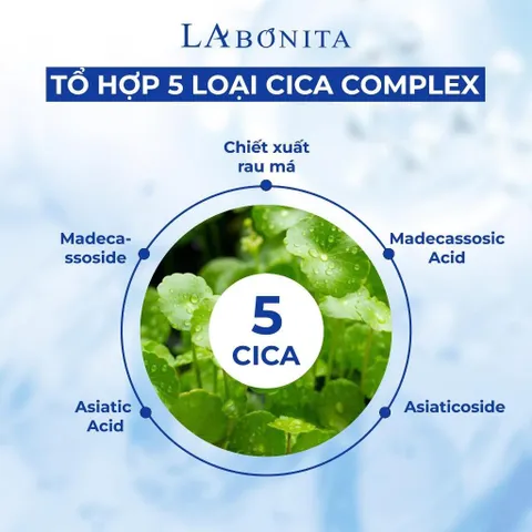 Bộ Đôi Tinh Chất Phục Hồi Làm Dịu Da La Bonita - Panthenol Repair Ampoule 50ml & Kem Dưỡng Vita K Repair 30ml, Giúp Khóa Ẩm và Làm Dịu Da Mẫn Cảm